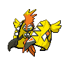 Tapu-koko